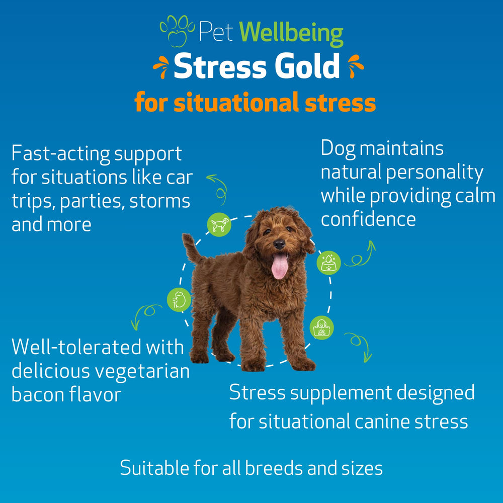 Stress Gold Pet Wellbeing: gouttes versées facilement, timing précis avant trajets en voiture.
