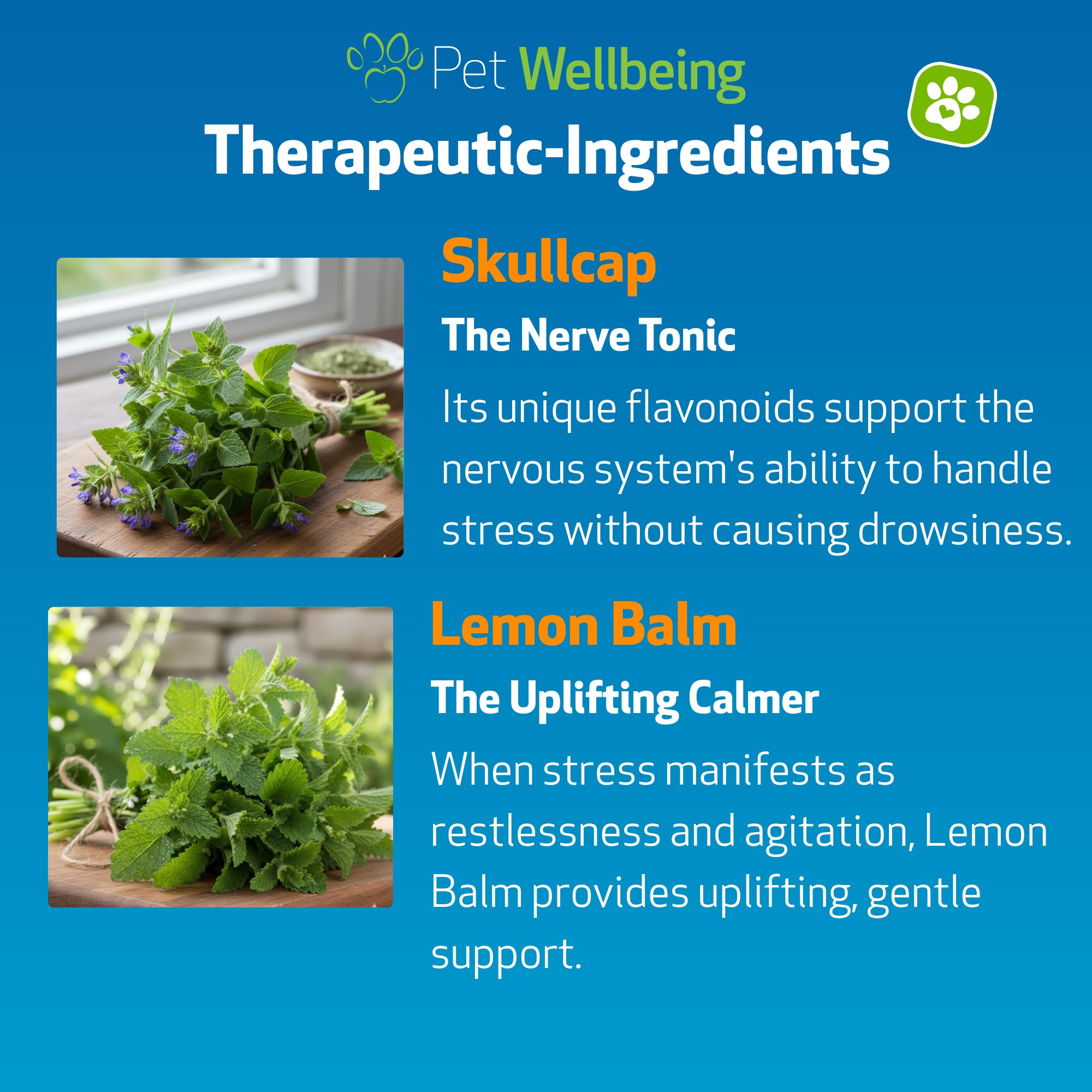 Stress Gold Pet Wellbeing: mélange d’herbes sûr pour chiens, sans sédation.