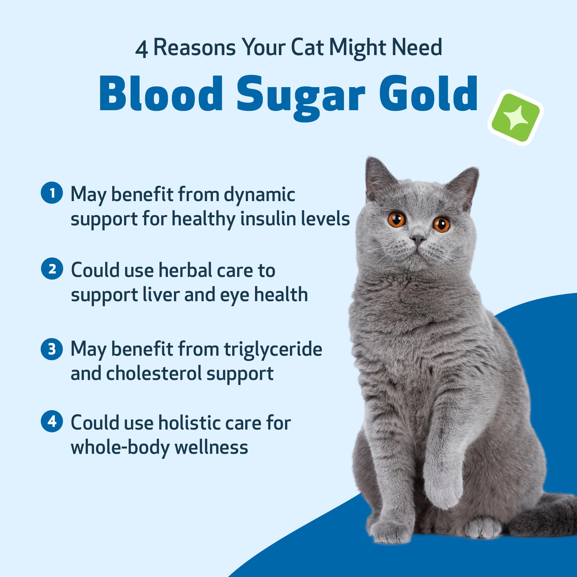 Dossier d’utilisation Pet Wellbeing Blood Sugar Gold, conseils pour administration sûre
