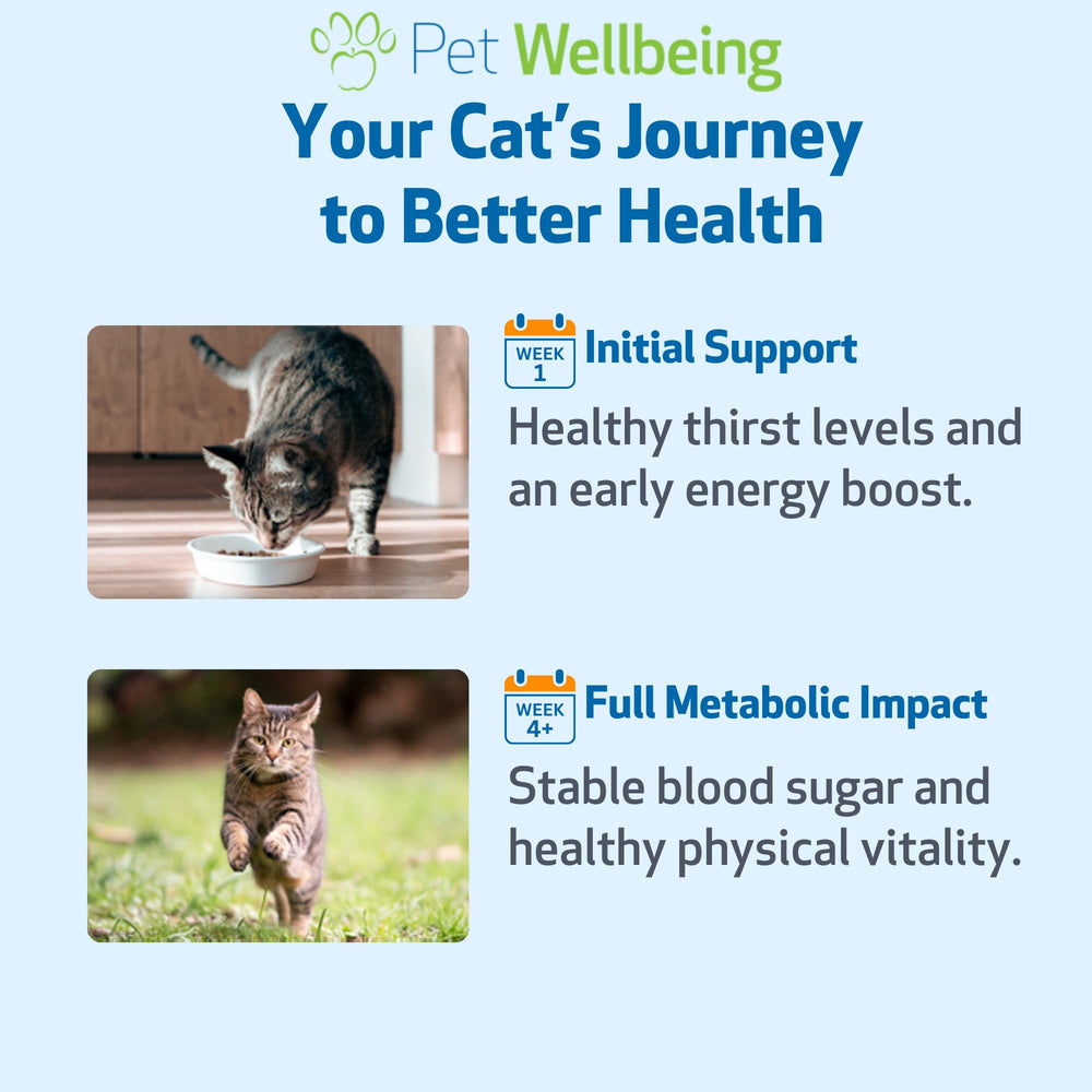 Emballage Pet Wellbeing Blood Sugar Gold sur étagère, produit fiable