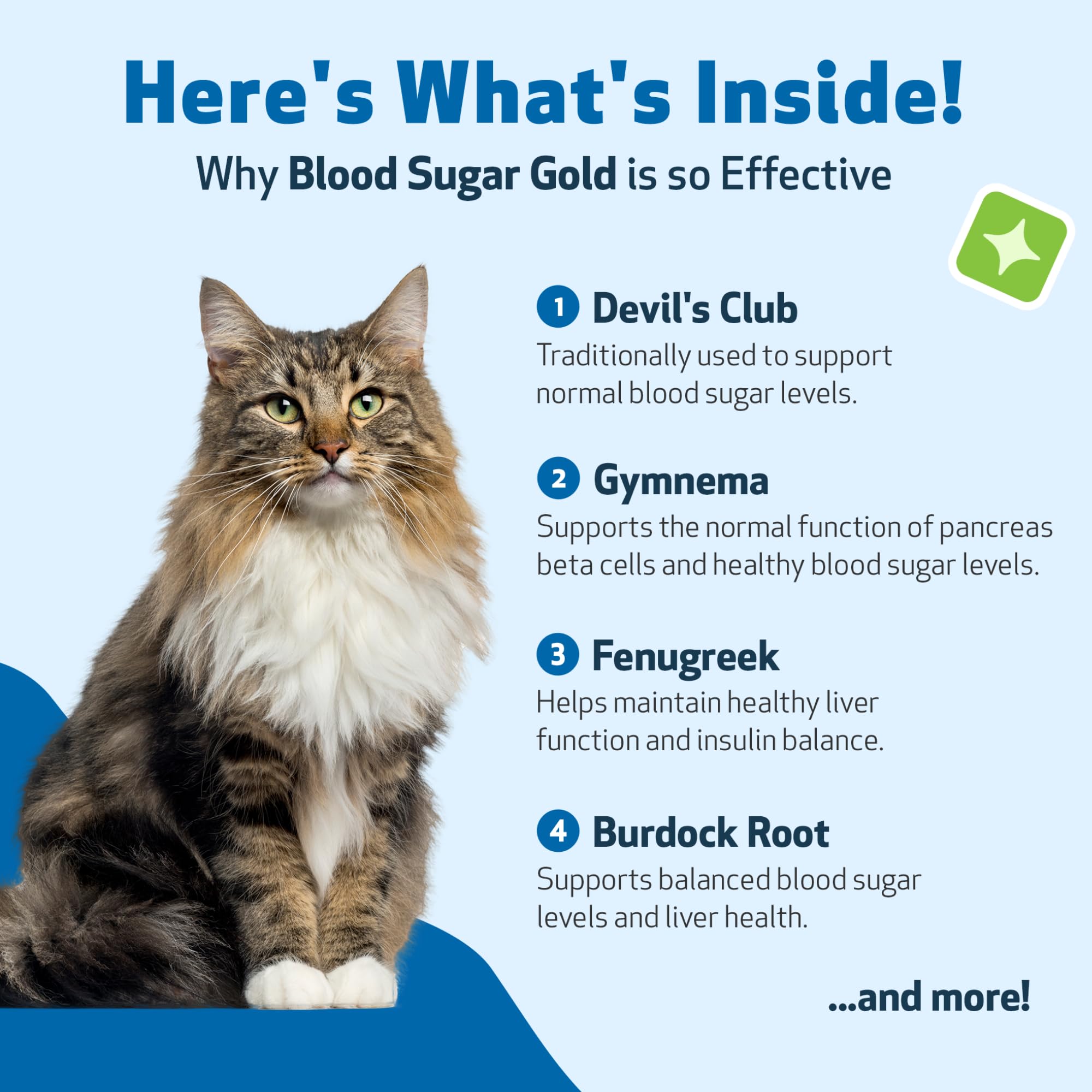 Étiquette Pet Wellbeing Blood Sugar Gold, conseils d’utilisation clairs pour propriétaires