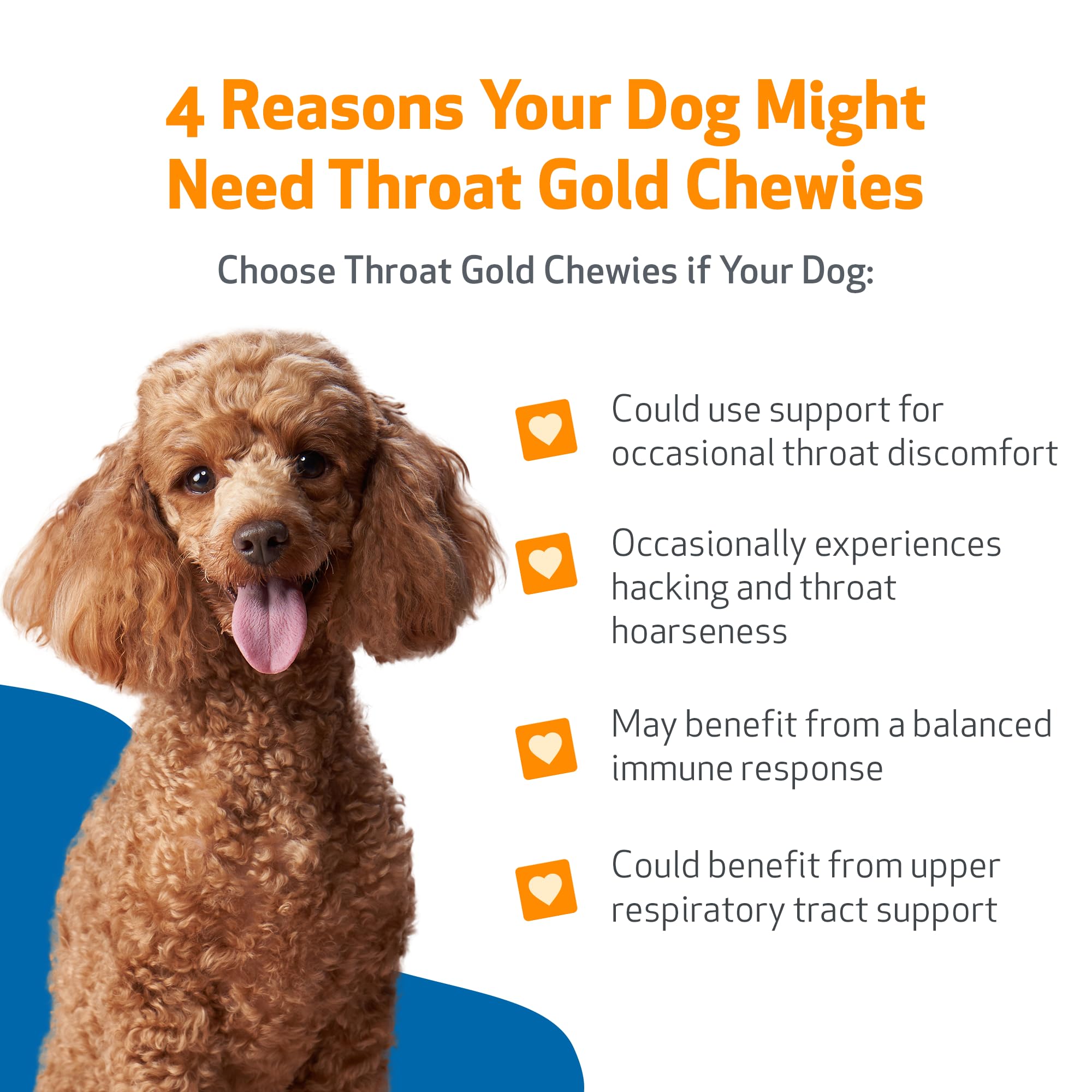 Chien content mâchant Pet Wellbeing Throat Gold Chewies