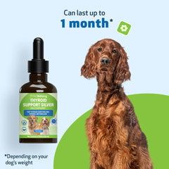 Étiquette Pet Wellbeing Thyroid Support Silver sur l'emballage, praticité et traçabilité du produit pour chien