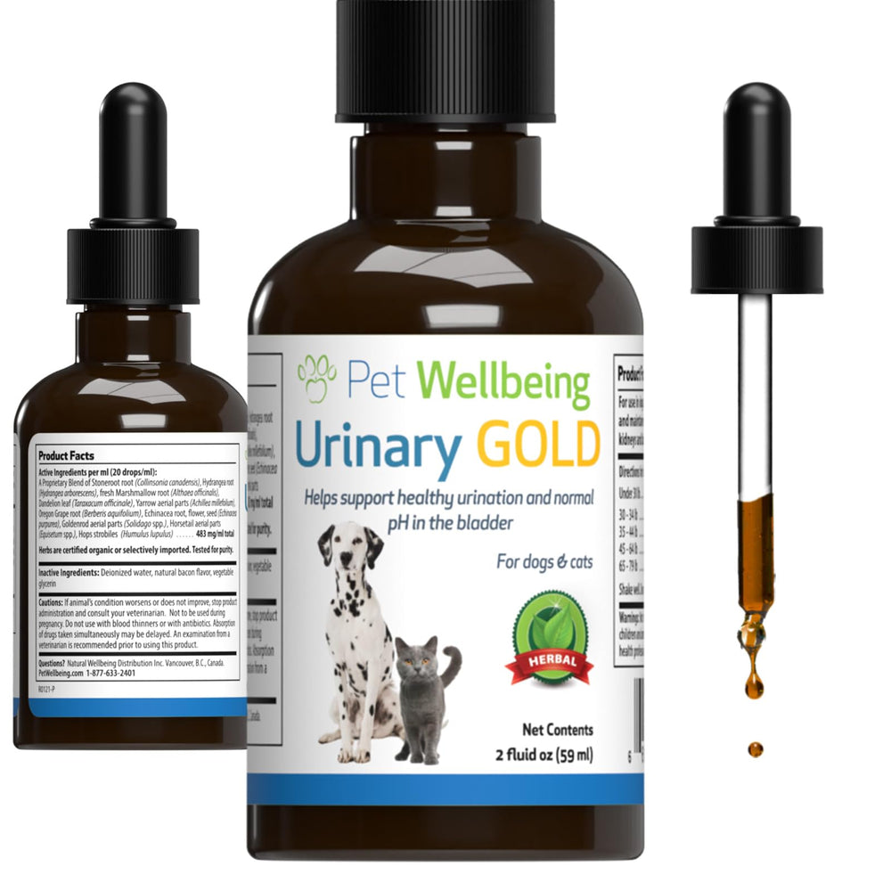 La bouteille Pet Wellbeing Urinary Gold favorise la fonction urinaire du chat