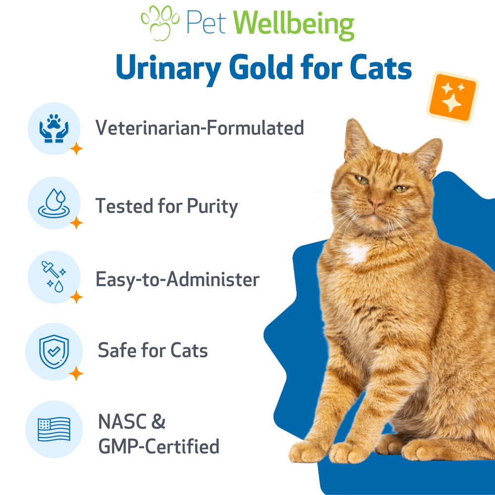 Chat près de la bouteille Pet Wellbeing Urinary Gold montrant l’usage