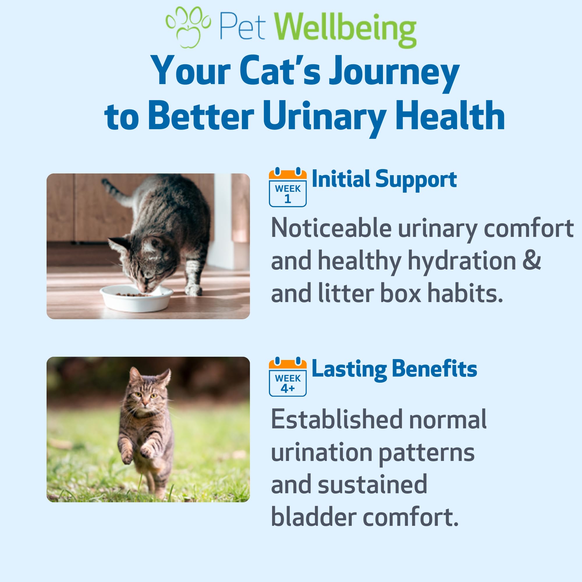 Emballage Pet Wellbeing Urinary Gold prêt à l’emploi