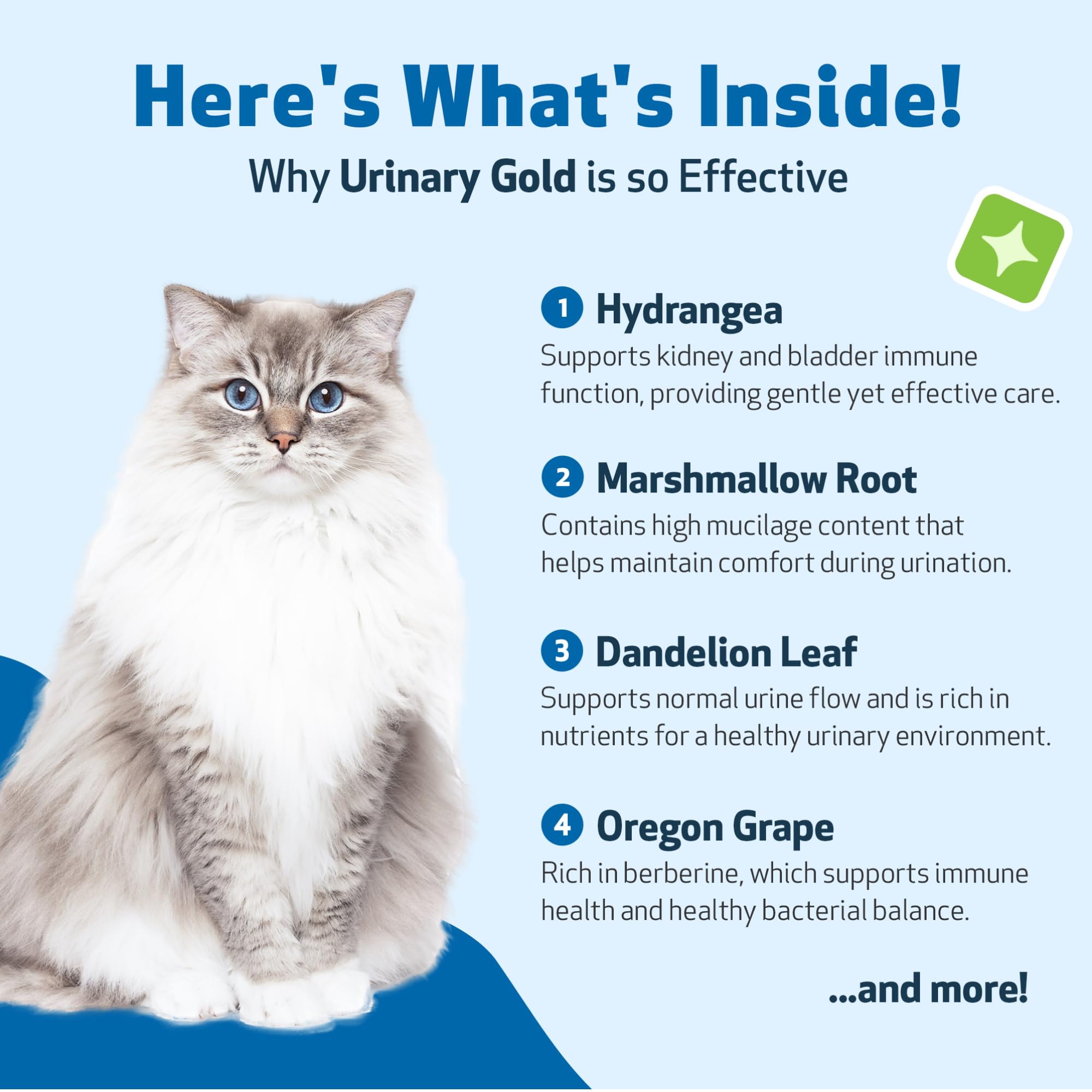 Herbes utilisées dans Pet Wellbeing Urinary Gold pour soutenir les voies urinaires