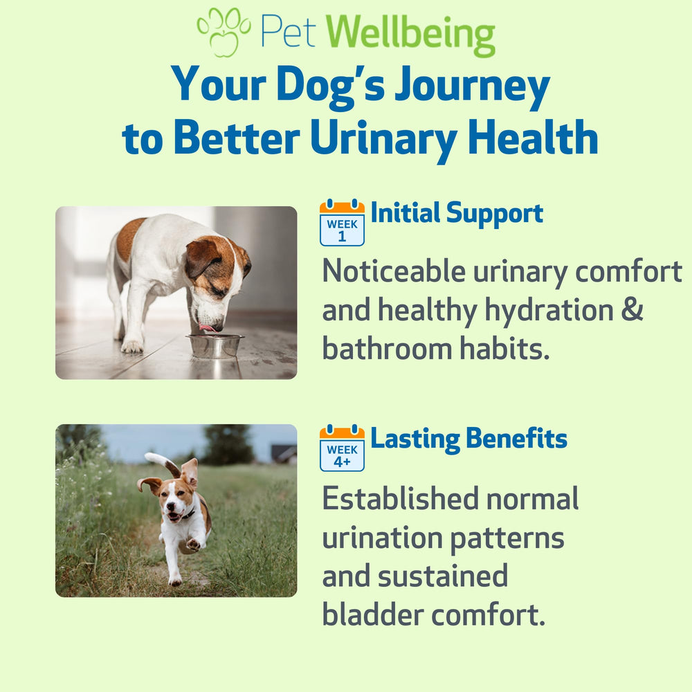 Pet Wellbeing Urinary Gold - Utilisation quotidienne: soutien durable du système urinaire du chien