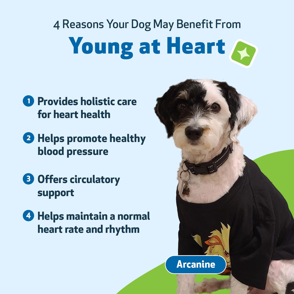 Pet Wellbeing solution liquide pratique pour chiens seniors.