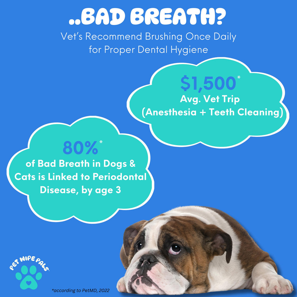 Pet Wipe Pals kit-doigts dentaires, brossage simplifié sans brosse ni dentifrice.