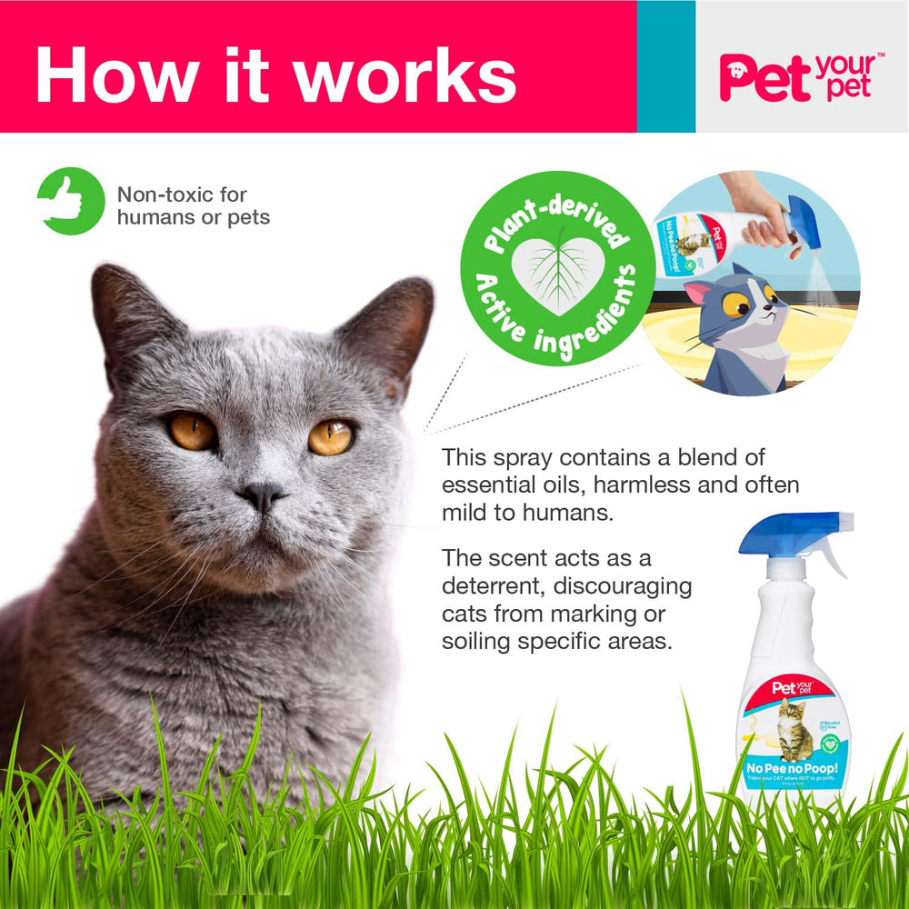 PET YOUR PET Utilisation intérieur et extérieur pour préserver tapis et sols