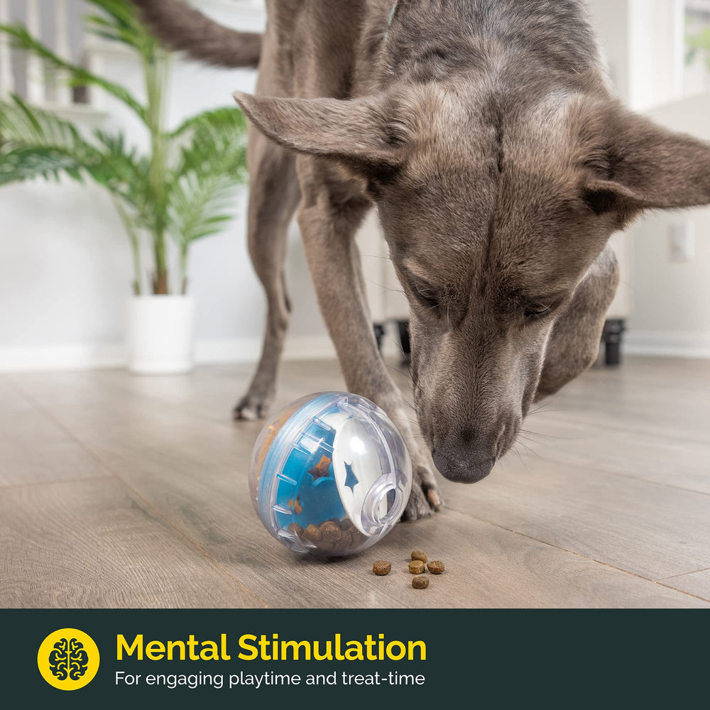 Pet Zone Balle-interactive-chien-distributeur: encourage l'activité et l'apprentissage ludique.