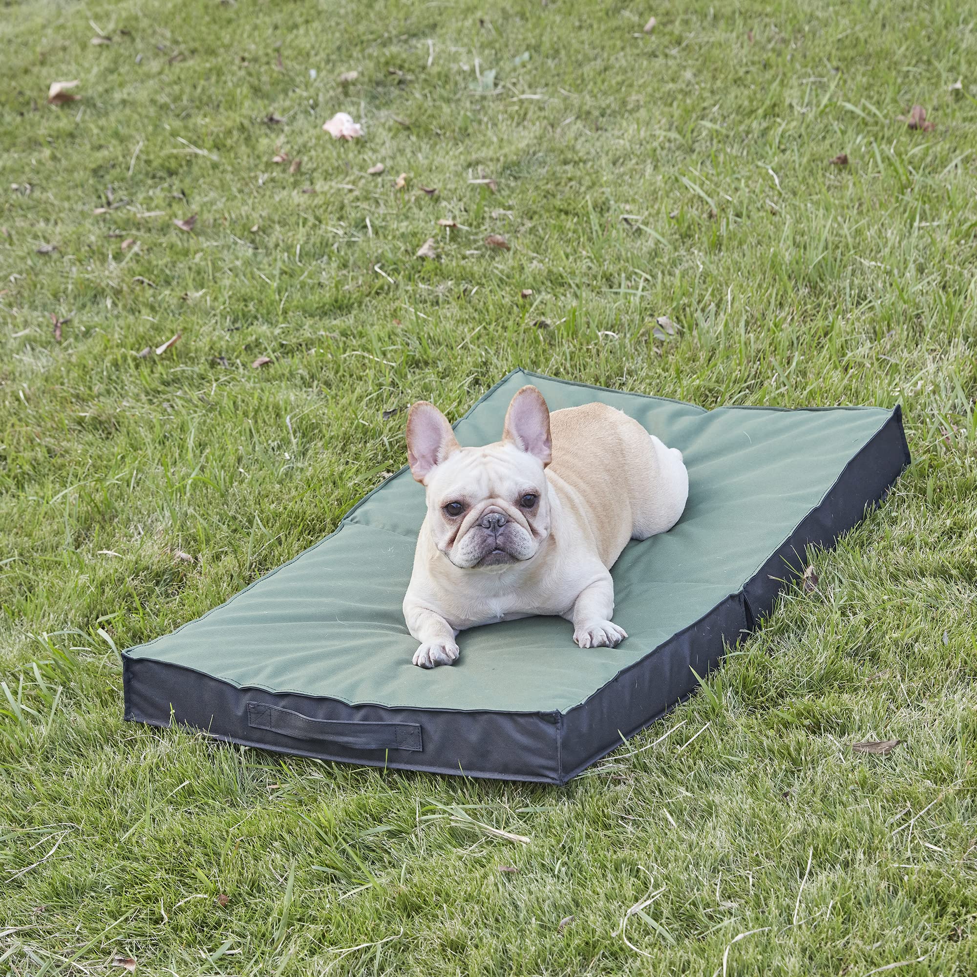 Lit PETABBY grand format 35-pouces, parfait pour chiens de grande taille