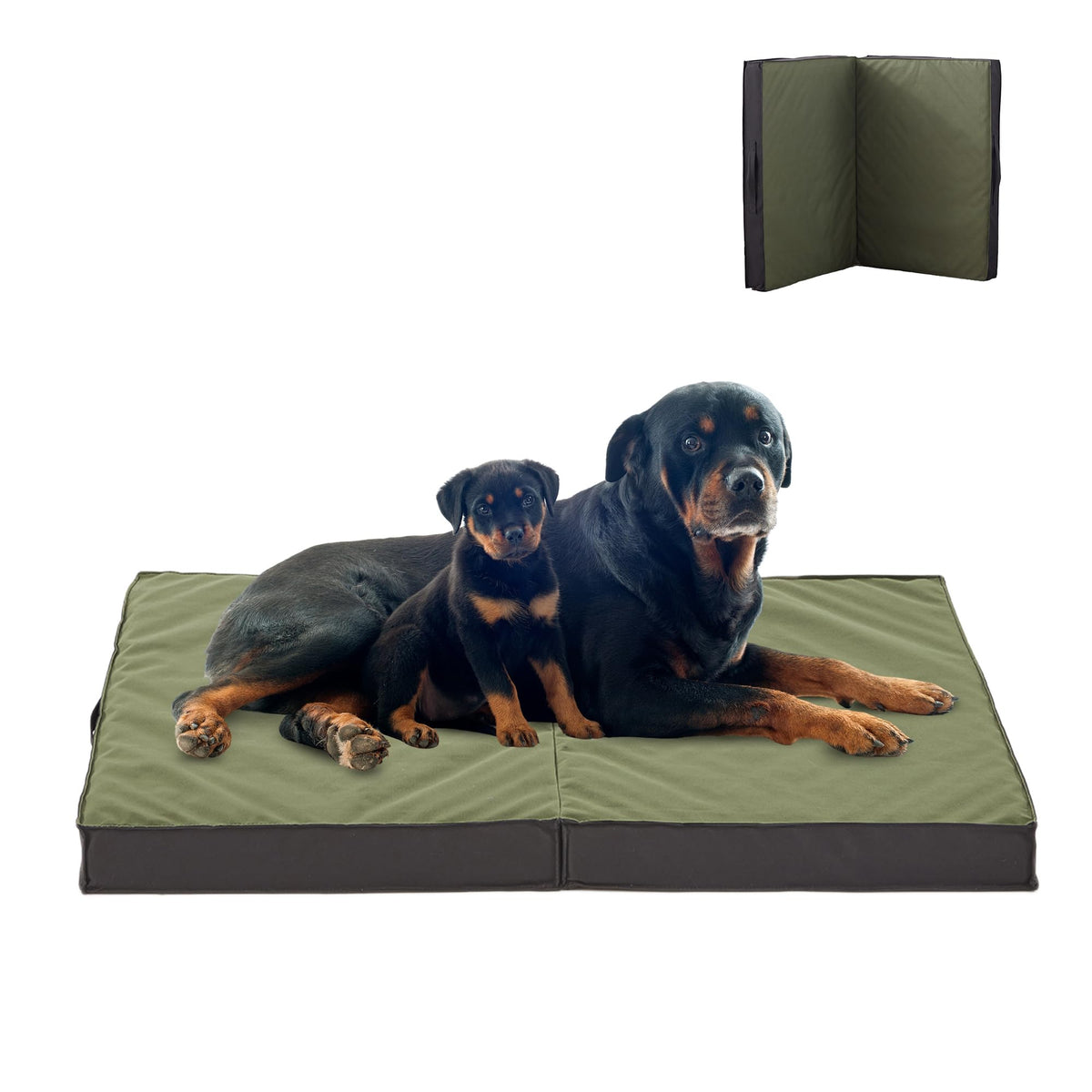 Lit PETABBY grand extérieur imperméable, idéal pour les sorties en plein air.