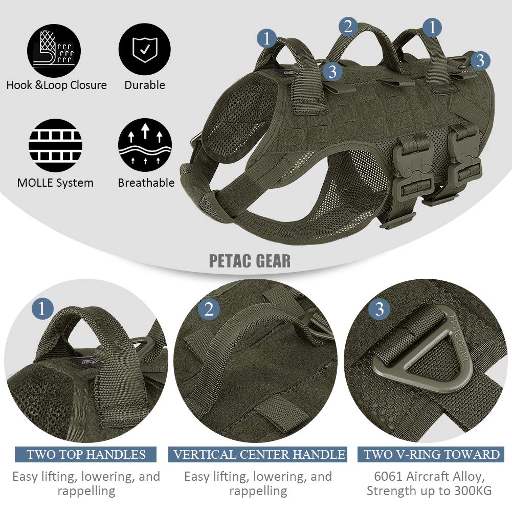 Confort du harnais PETAC GEAR avec rembourrage poitrine pour les sessions prolongées.