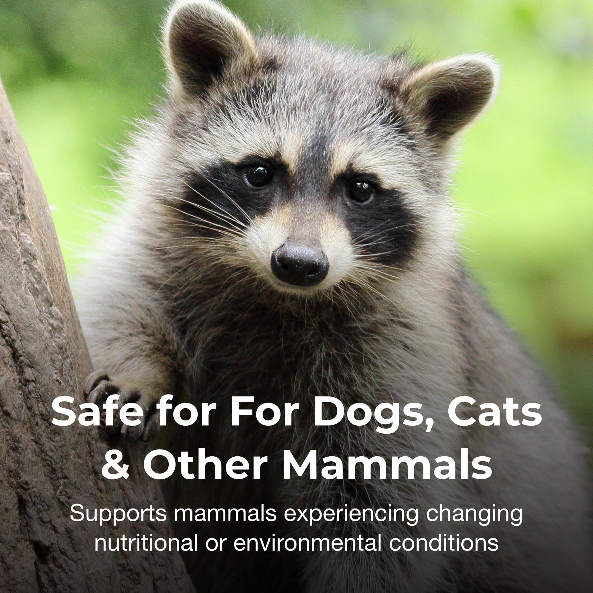 Gel Bene-Bac Plus de PetAg, application digestive, peut aider lors des périodes sensibles des animaux.