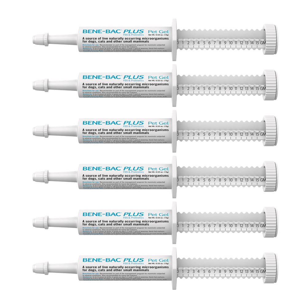 Bene-Bac Plus Gel de PetAg, seringue 15 g, lot de 6: soutien digestif potentiel pour animaux.
