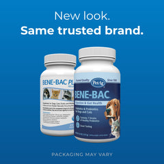 PetAg Bene-Bac poudre probiotiques pour animaux exotiques, aide à la digestion potentielle.