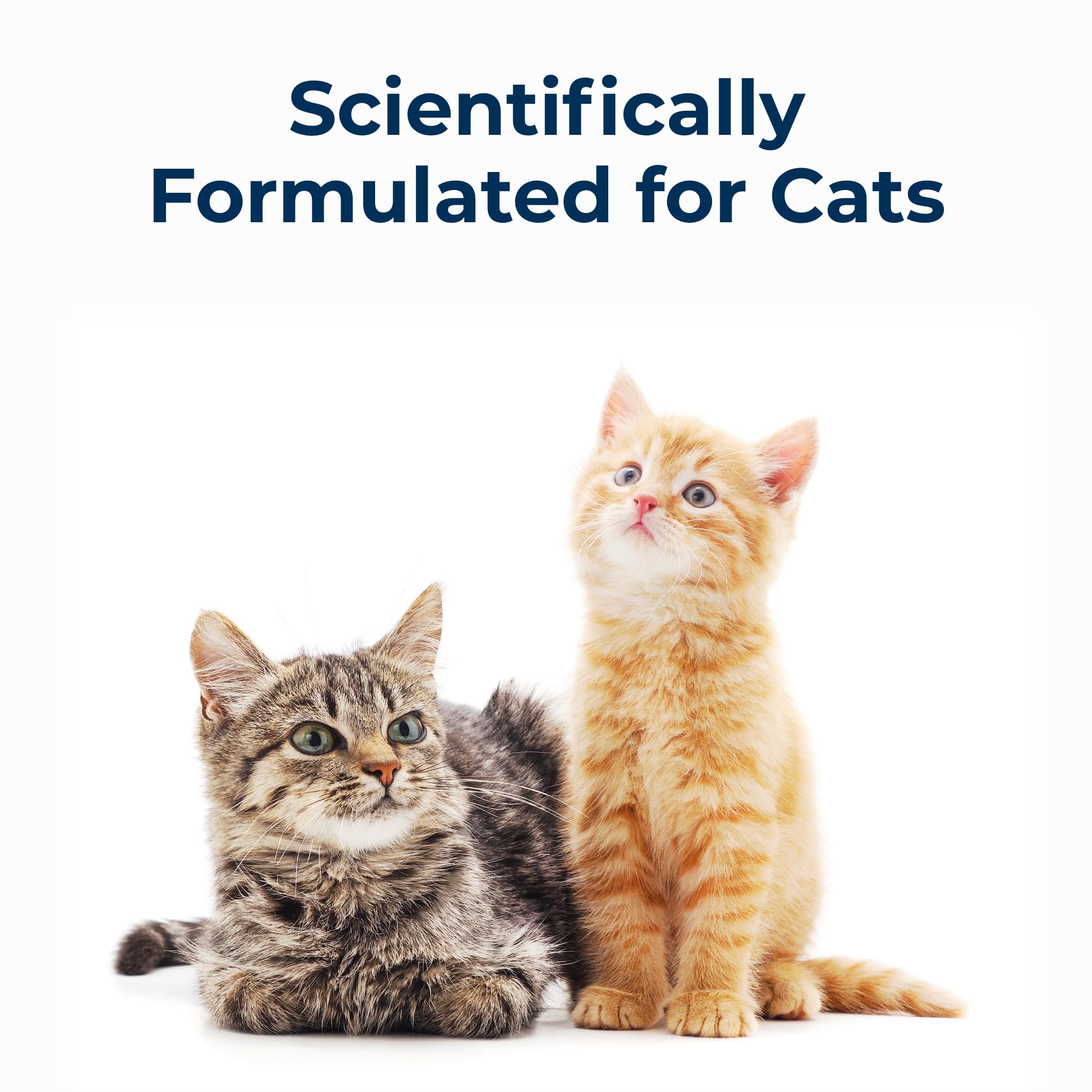Cat-Sip PetAg, hydratation quotidienne pratique pour chats et chatons.