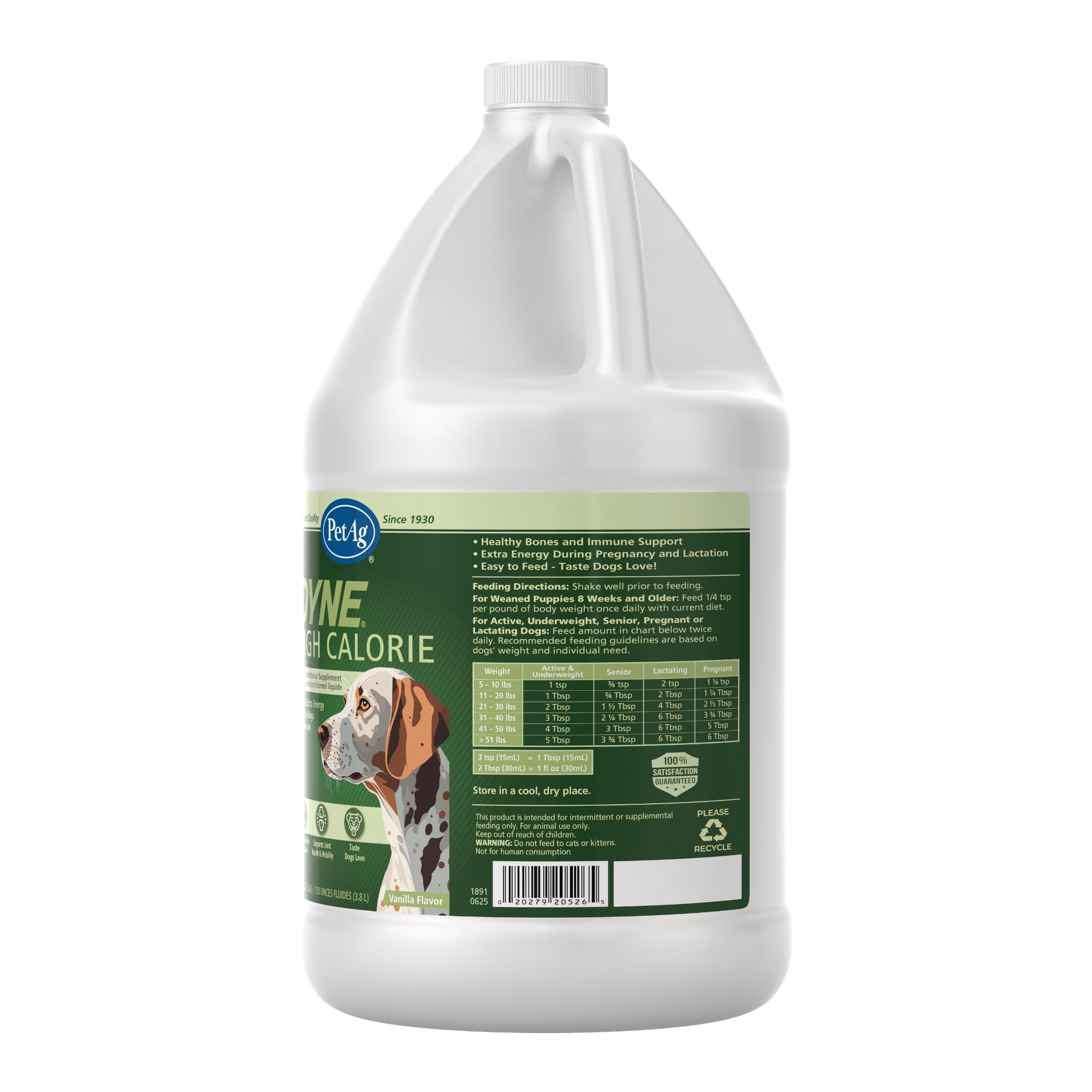 Chien calme et heureux à la maison avec Dyne.