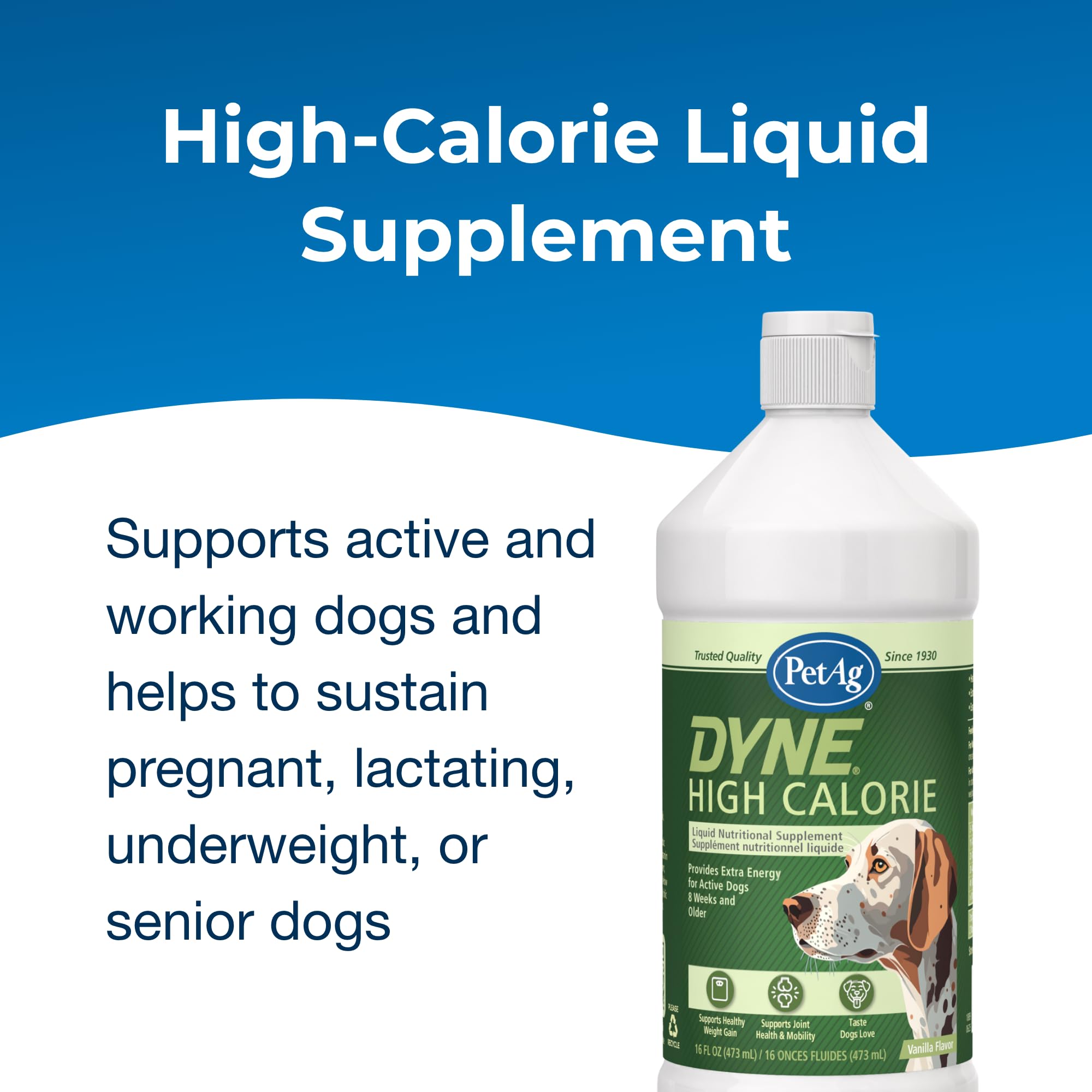 PetAg Dyne - Étiquette ingrédients détaillant les nutriments essentiels.