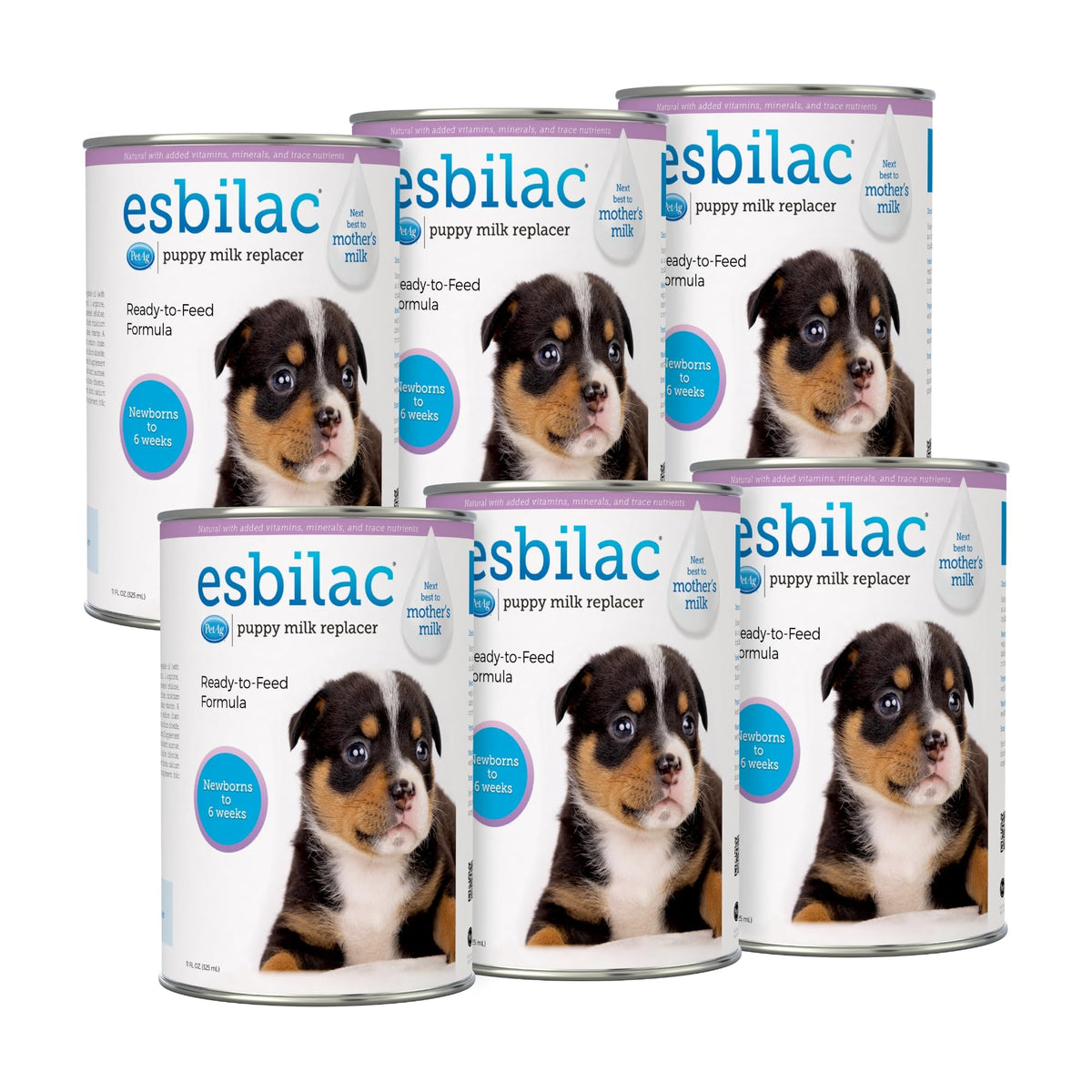 PetAg Esbilac flacon-lait chiot, facile à digérer et prêt à servir