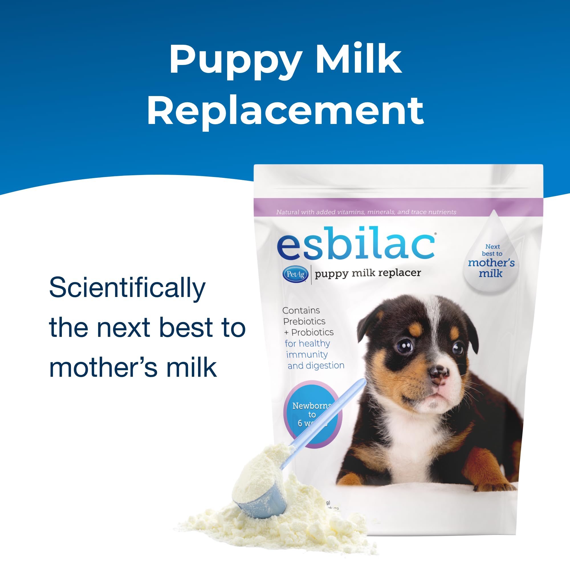PetAg Esbilac nutrition complète chiots, proche du lait maternel.