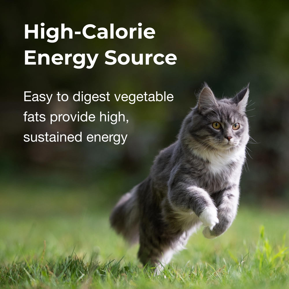 Utilisation quotidienne PetAg gel calorique, soutien énergétique possible.
