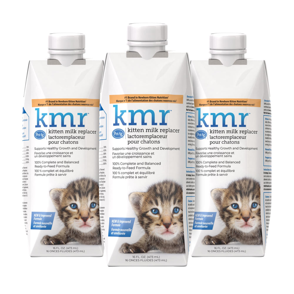 PetAg KMR lait chaton en bouteille prête à servir pour nourrir rapidement