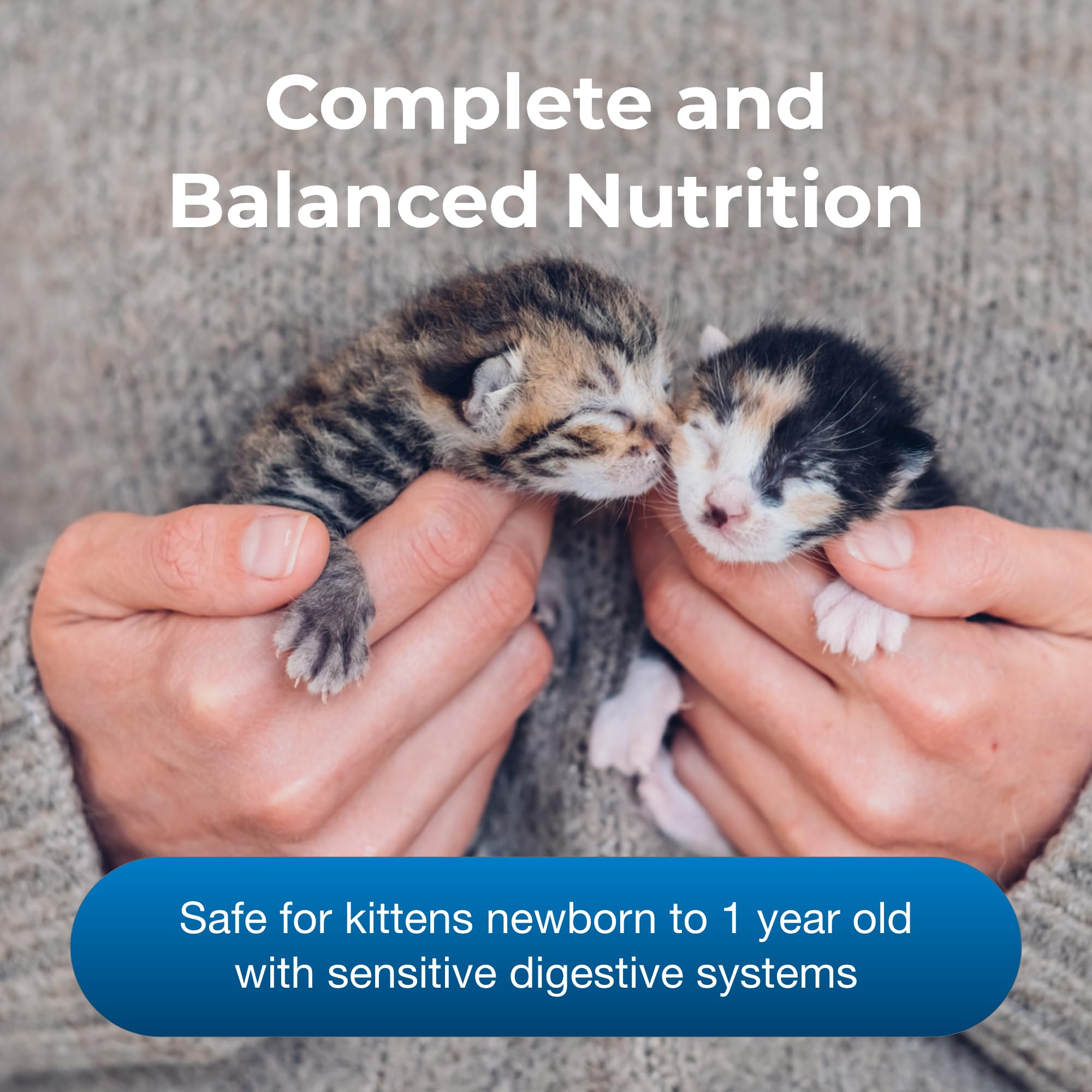 PetAg KMR – nourrissage chaton pratique et prêt à servir.