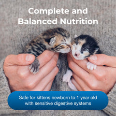 PetAg KMR – nourrissage chaton pratique et prêt à servir.