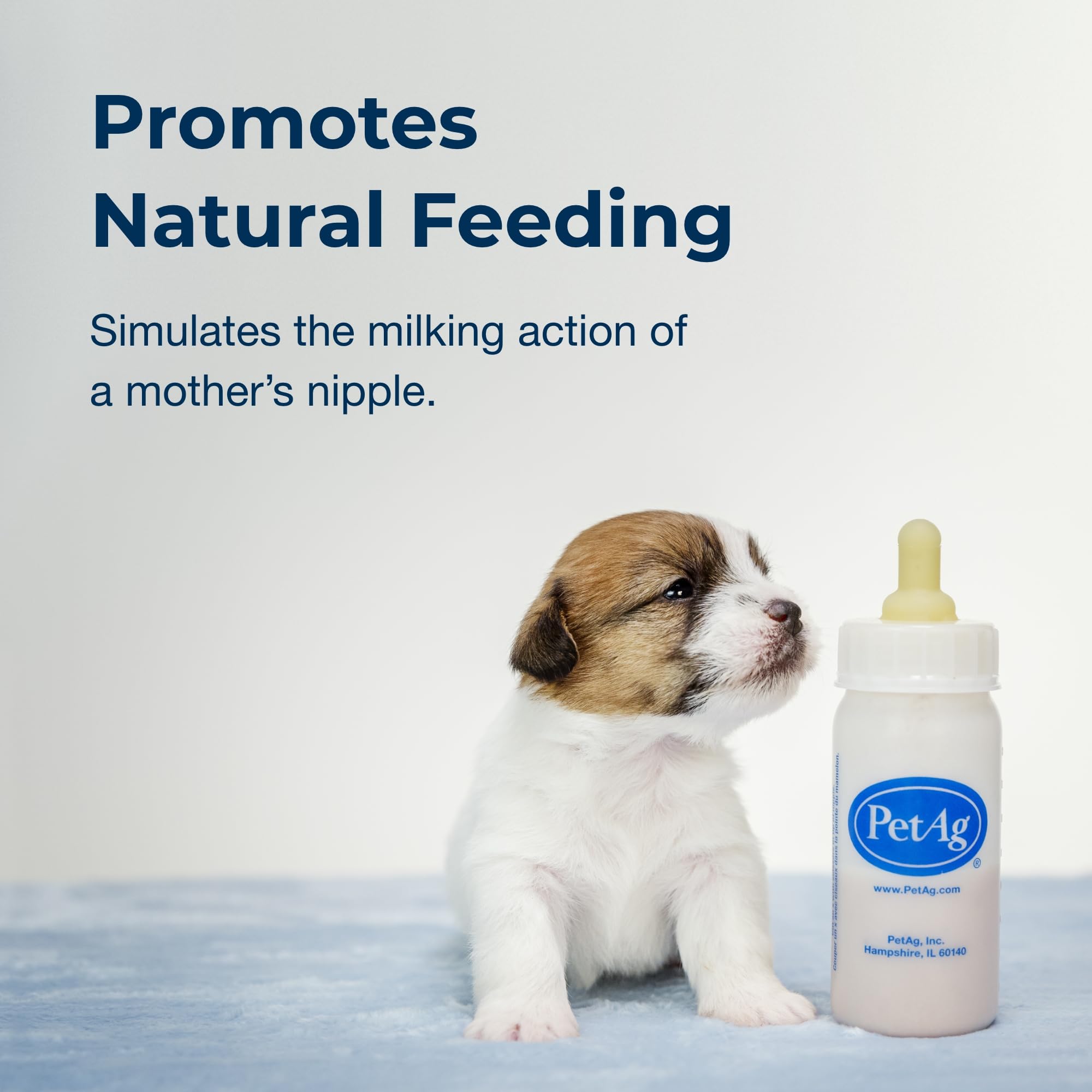 Ensemble complet d’accessoires PetAg Nursing Kit pour nourrir les petits animaux facilement.