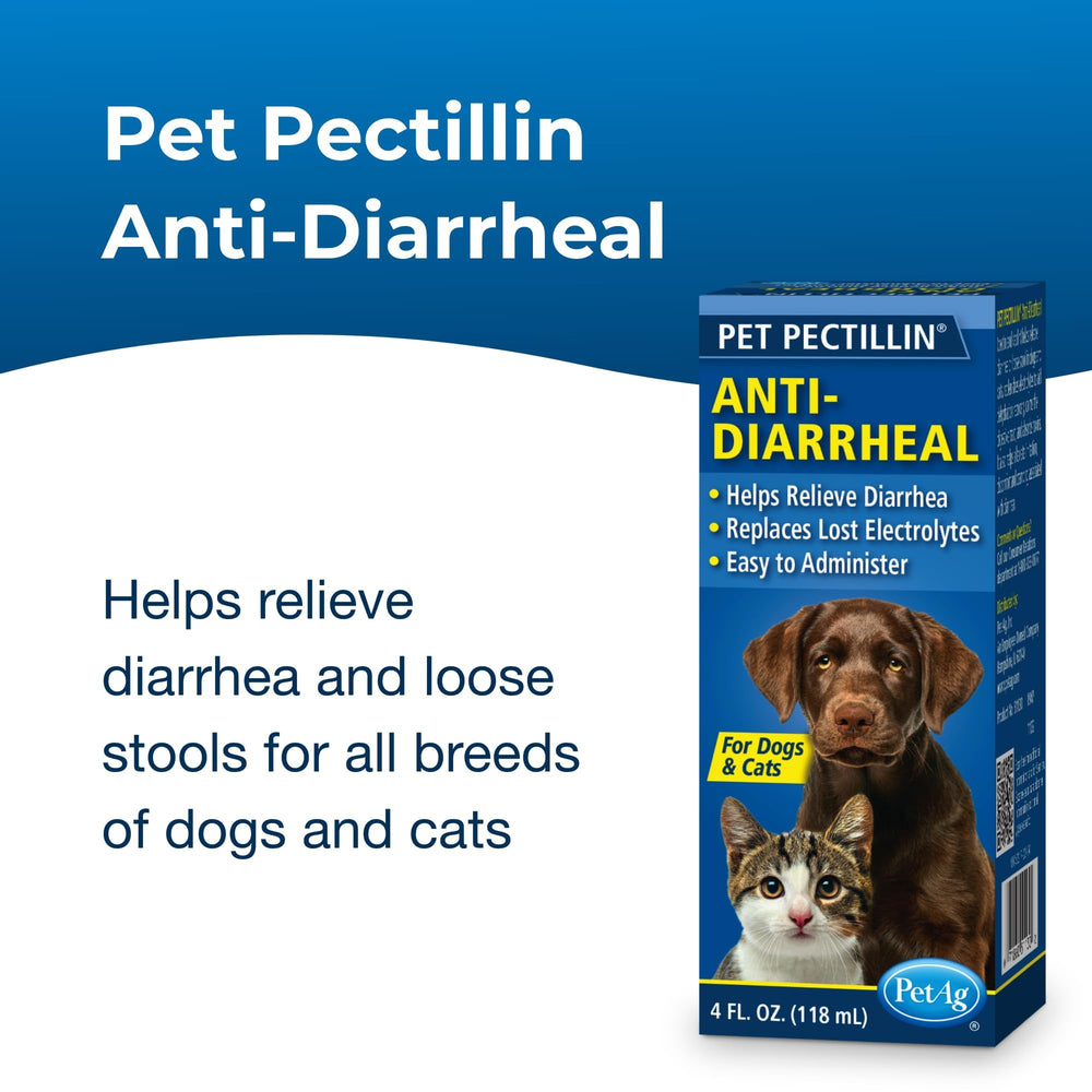 Bouteille PetAg Pet Pectillin de 4 oz prête à l’utilisation