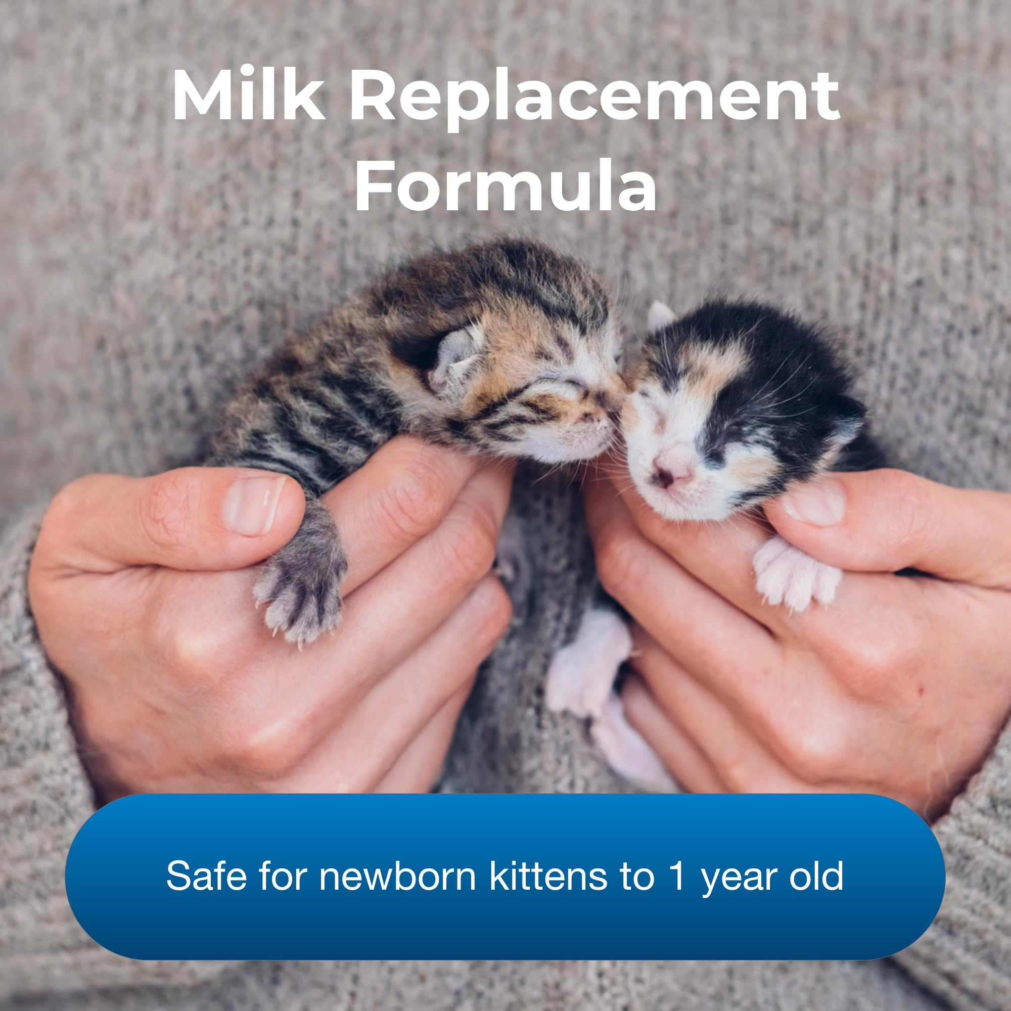 Formule lait remplacement PetLac pour chatons, solution pratique lors du sevrage.
