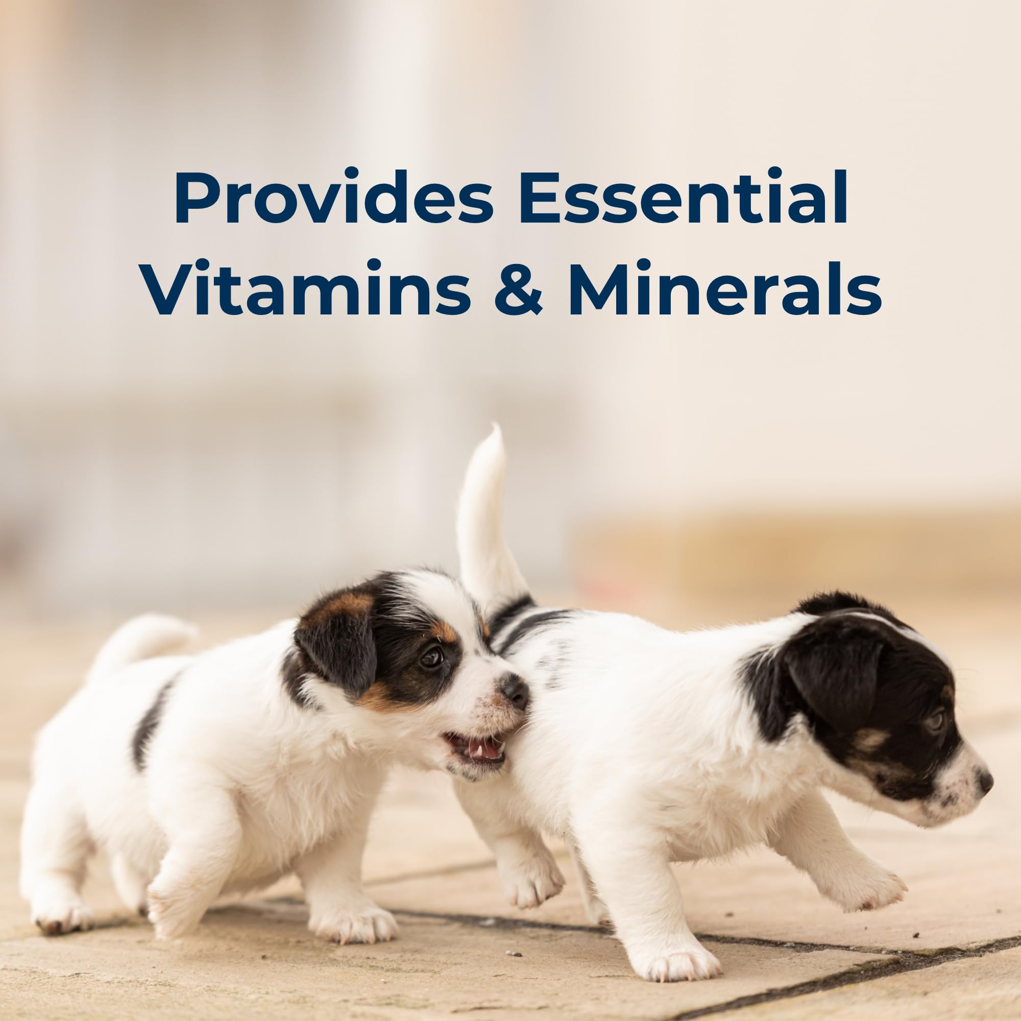 PetLac PetAg, gout-appetant, chiots plus actifs après l'alimentation.