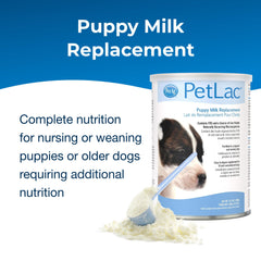 PetLac, mélange eau chaude pour chiots, préparation rapide au biberon