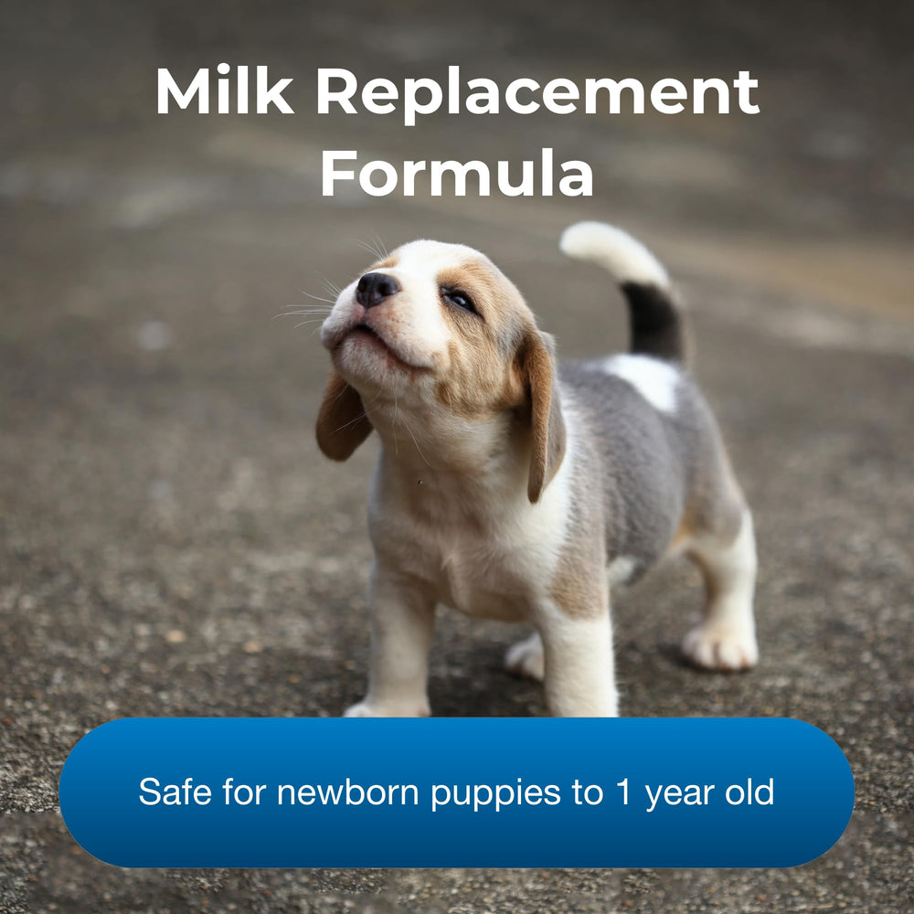 PetLac PetAg, mélange lait chiots, texture agréable à nourrir.