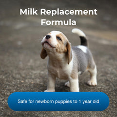 PetLac PetAg, mélange lait chiots, texture agréable à nourrir.