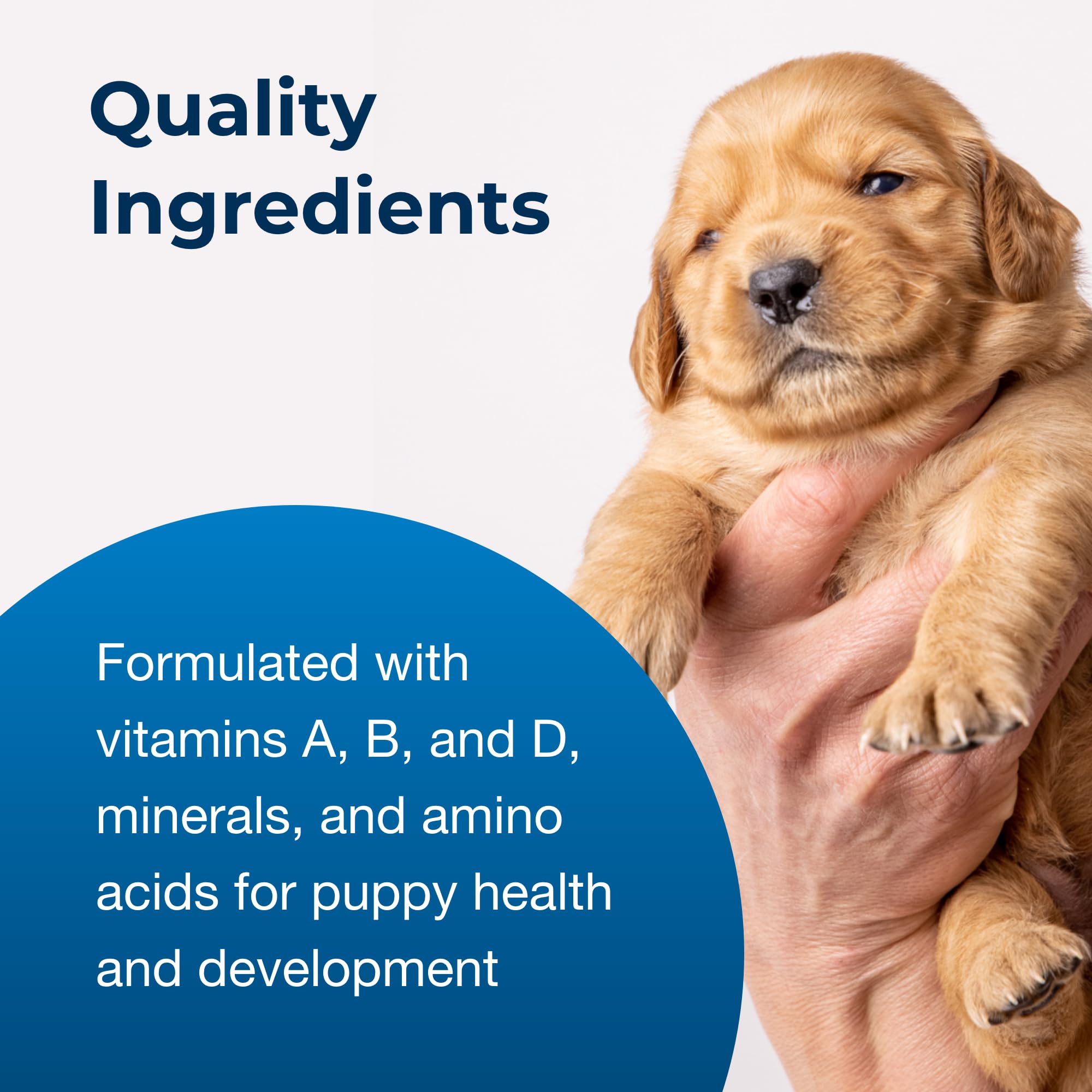 PetLac-pack-2-boites, option économique pour chiots en croissance