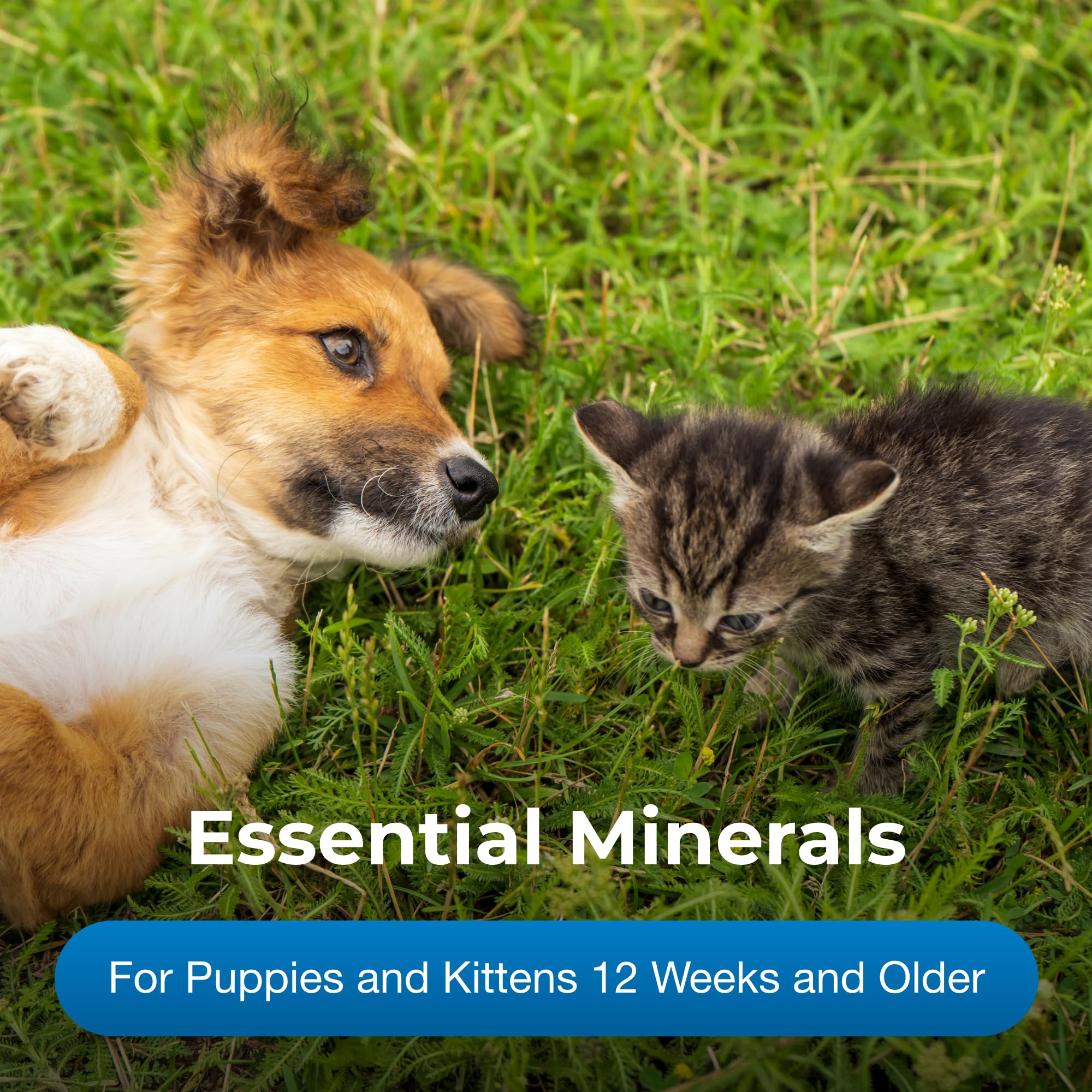 Tablettes PetAg Calcium Phosphore adaptées pour chiens et chats.