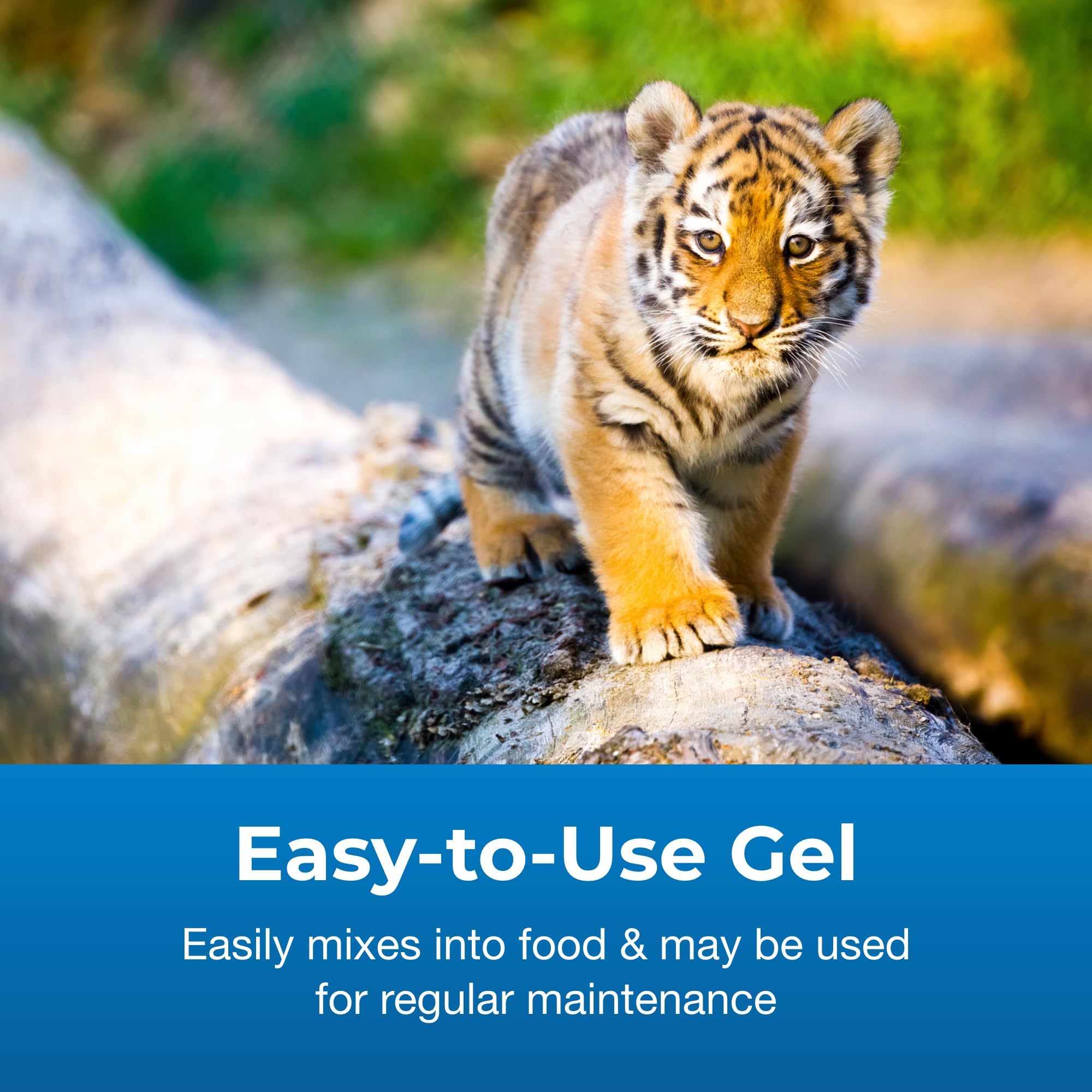 Emballage compact du Gel PetAg Bene-Bac, pratique en voyage.