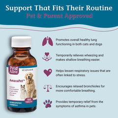 AmazaPet tablettes dans la main : dosage simple pour chiens et chats.