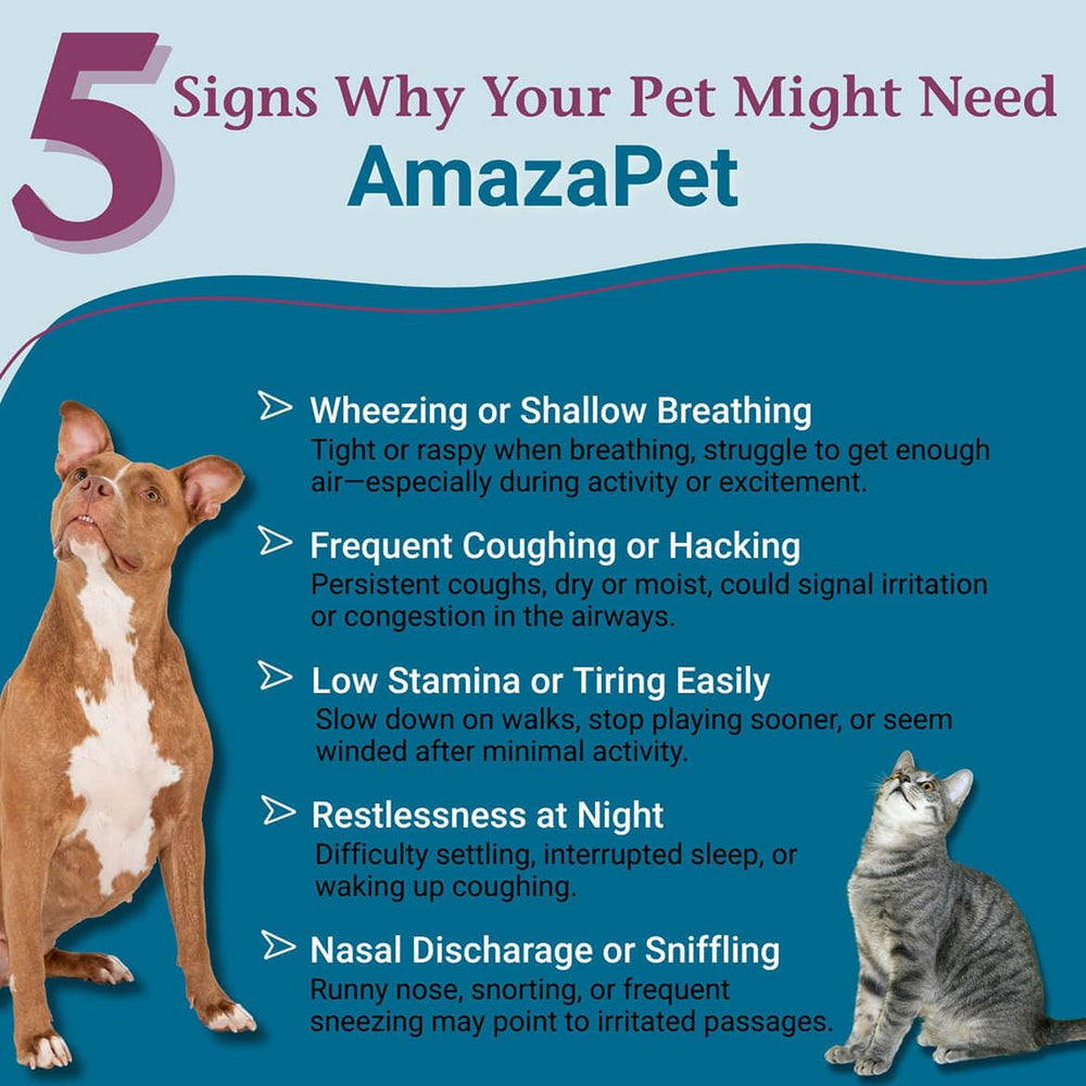 AmazaPet comprimés : faciles à prendre directement pour un soutien respiratoire.