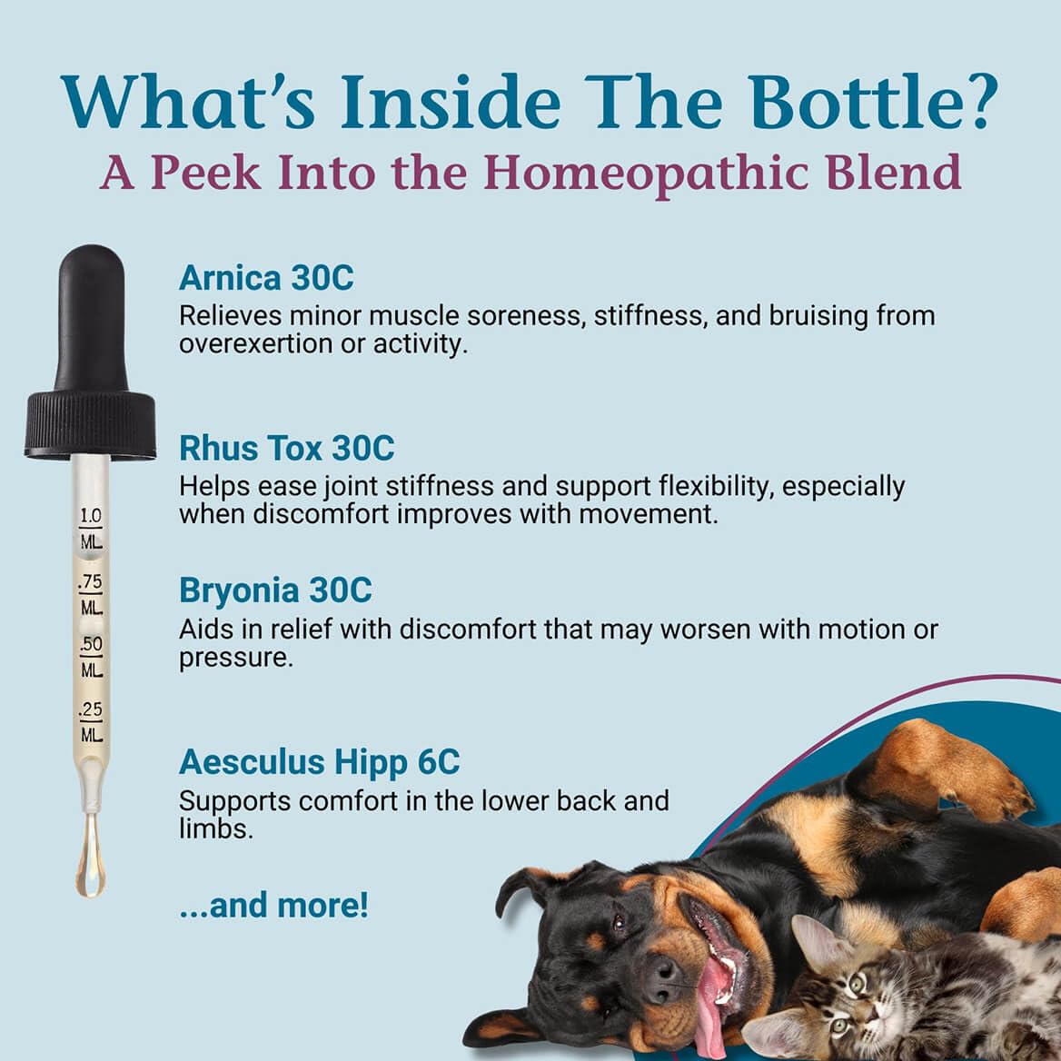 Formule douce PetAlive ComfyPet, sans alcool et adaptée aux animaux sensibles.