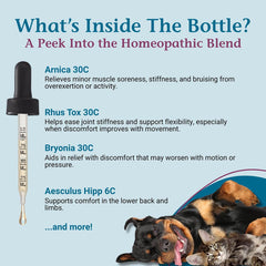 Formule douce PetAlive ComfyPet, sans alcool et adaptée aux animaux sensibles.