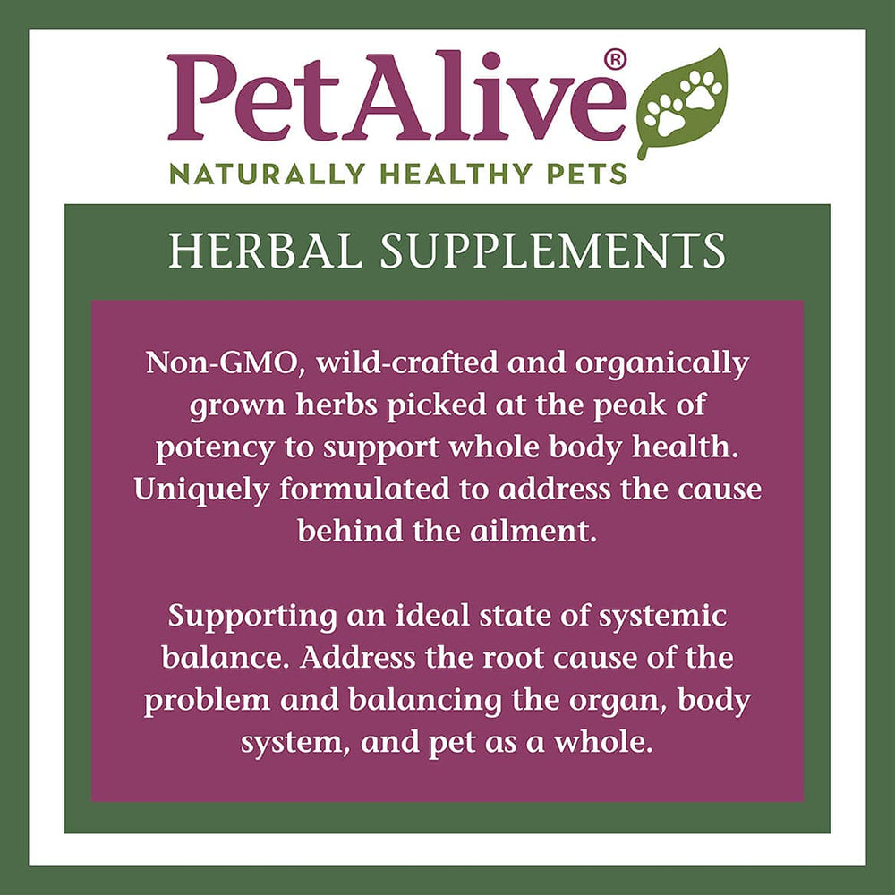 PetAlive Complete Cushex - appétit et énergie: aide potentielle pour chiens actifs.