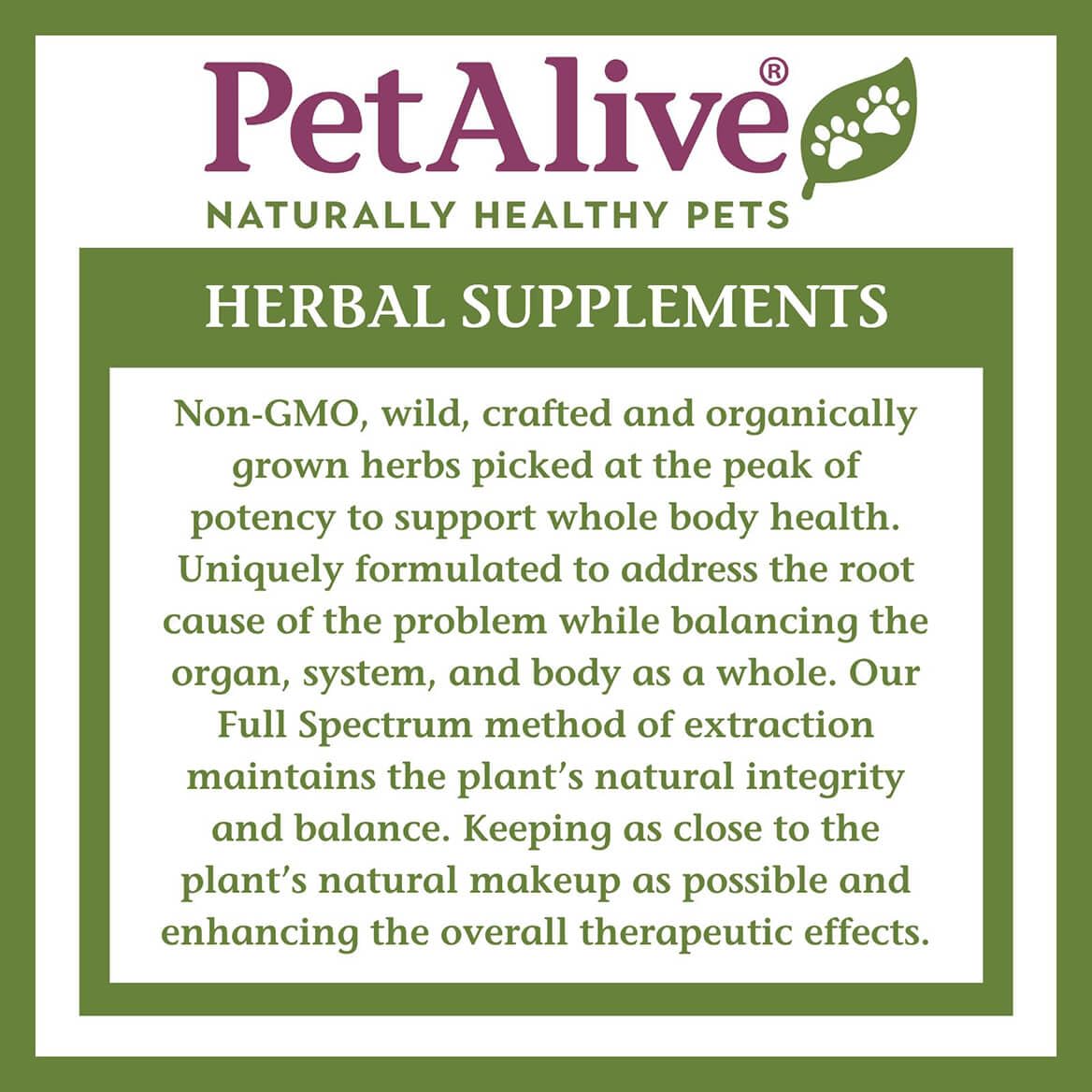 Cushex Drops-S PetAlive, administration simple et intégration quotidienne.