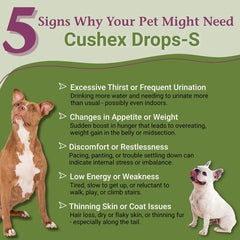Cushex Drops-S de PetAlive, pelage brillant et peau saine.