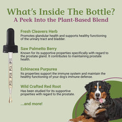 ProsPet Gouttes PetAlive: formulation naturelle à base d'herbes.