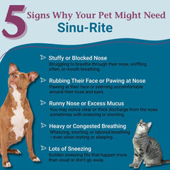 Tablettes PetAlive Sinu-Rite dans main, administration facile pour chiens et chats.